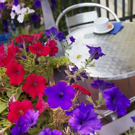 Notti E Dintorni Bed & Breakfast Nicolosi