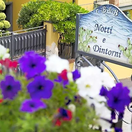 Notti E Dintorni Николози
