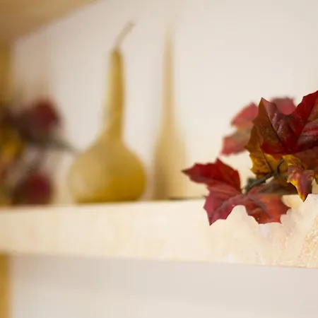 Bed & Breakfast Notti E Dintorni 3*