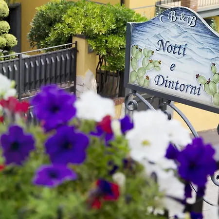 Notti E Dintorni